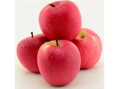 国内私人试管婴儿:科学技术改变社会